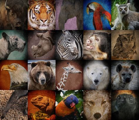 A World Of Endangered Animals 2025 𝚆𝚊𝚝𝚌𝚑 On Social Media
